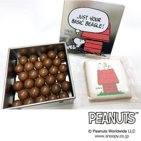 PEANUTS クッキー＆チョコレート ハウス